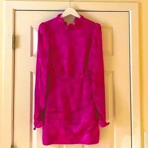 Gorgeous SALONI Rina Dress Sz 4